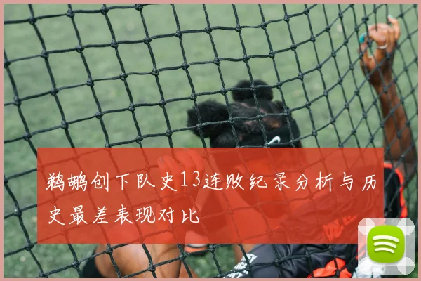 鹈鹕创下队史13连败纪录分析与历史最差表现对比