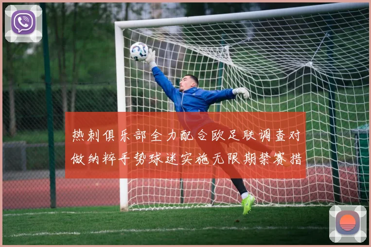 热刺俱乐部全力配合欧足联调查对做纳粹手势球迷实施无限期禁赛措施