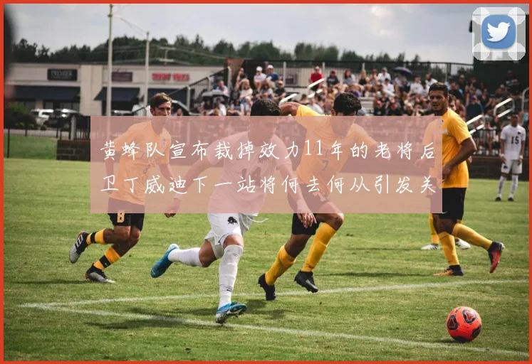黄蜂队宣布裁掉效力11年的老将后卫丁威迪下一站将何去何从引发关注