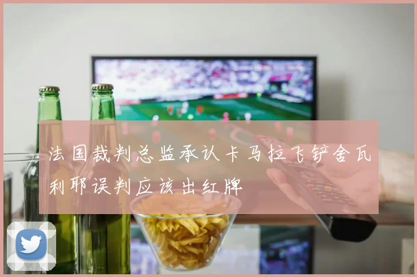 法国裁判总监承认卡马拉飞铲舍瓦利耶误判应该出红牌