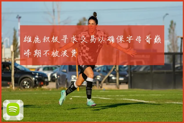 雄鹿积极寻求交易以确保字母哥巅峰期不被浪费